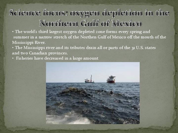 Science focus: oxygen depletion in the Northern Gulf of Mexico • The world’s third