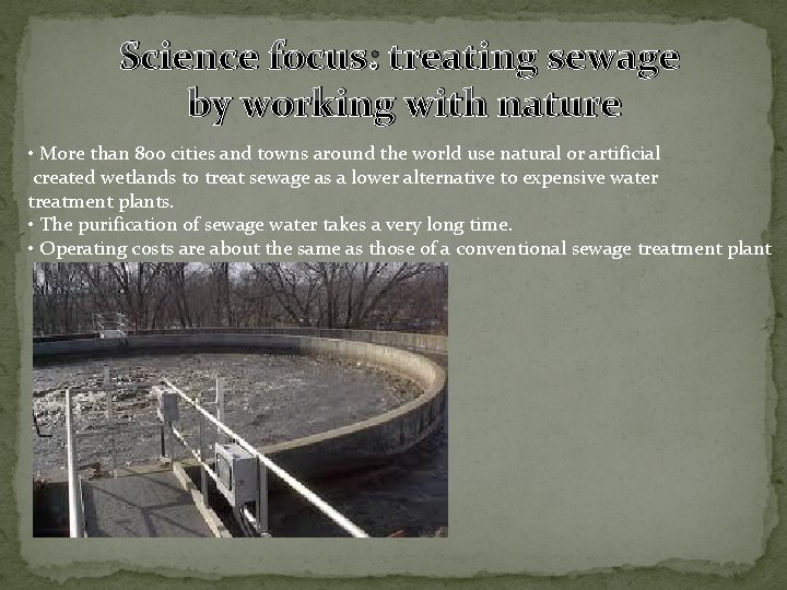 Science focus: treating sewage by working with nature • More than 800 cities and