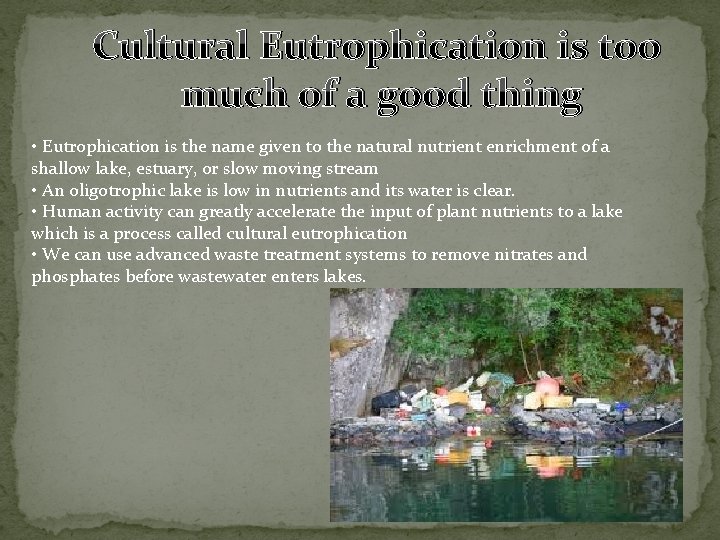 Cultural Eutrophication is too much of a good thing • Eutrophication is the name
