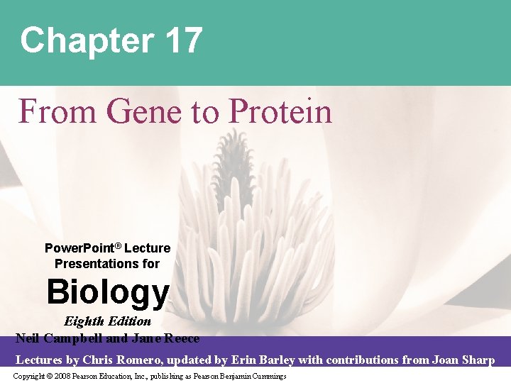 Chapter 17 From Gene to Protein Power. Point® Lecture Presentations for Biology Eighth Edition