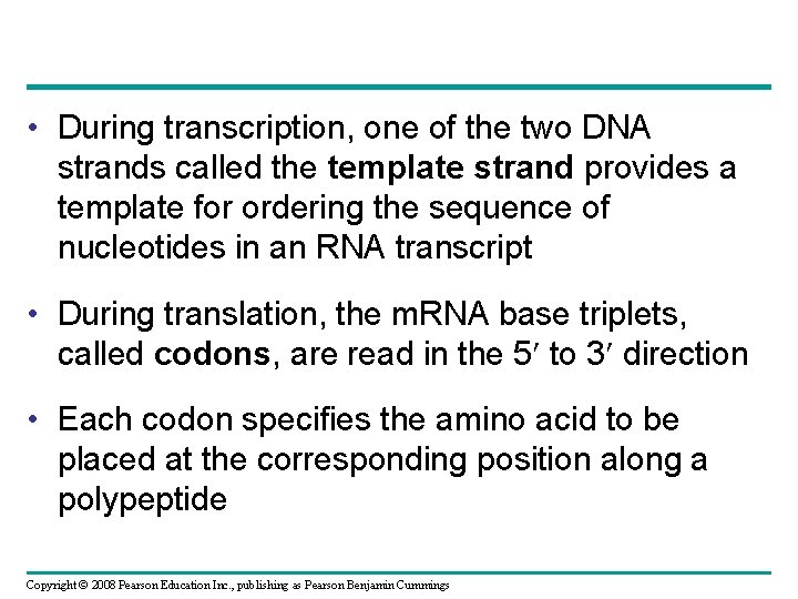  • During transcription, one of the two DNA strands called the template strand