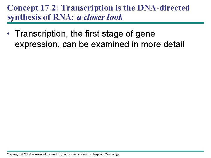 Concept 17. 2: Transcription is the DNA-directed synthesis of RNA: a closer look •