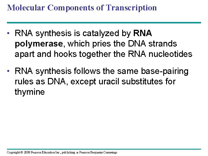 Molecular Components of Transcription • RNA synthesis is catalyzed by RNA polymerase, which pries