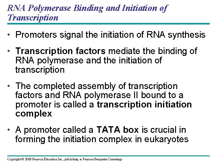 RNA Polymerase Binding and Initiation of Transcription • Promoters signal the initiation of RNA