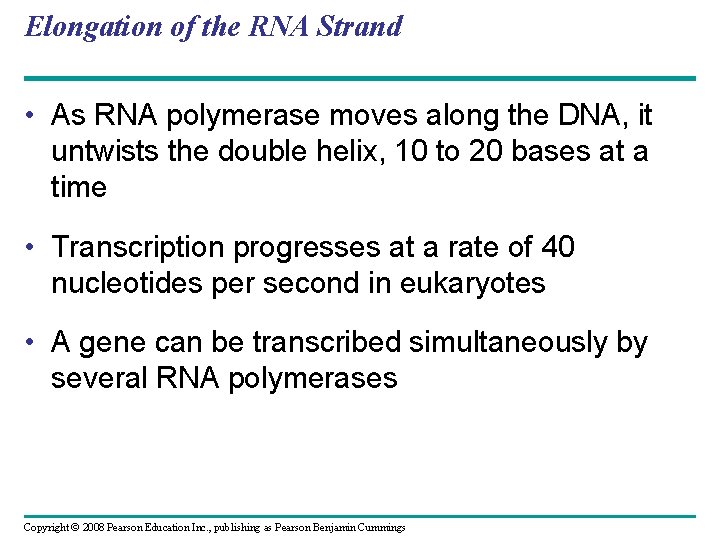 Elongation of the RNA Strand • As RNA polymerase moves along the DNA, it