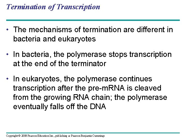 Termination of Transcription • The mechanisms of termination are different in bacteria and eukaryotes