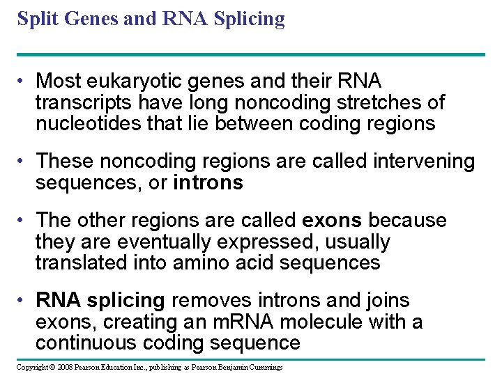 Split Genes and RNA Splicing • Most eukaryotic genes and their RNA transcripts have