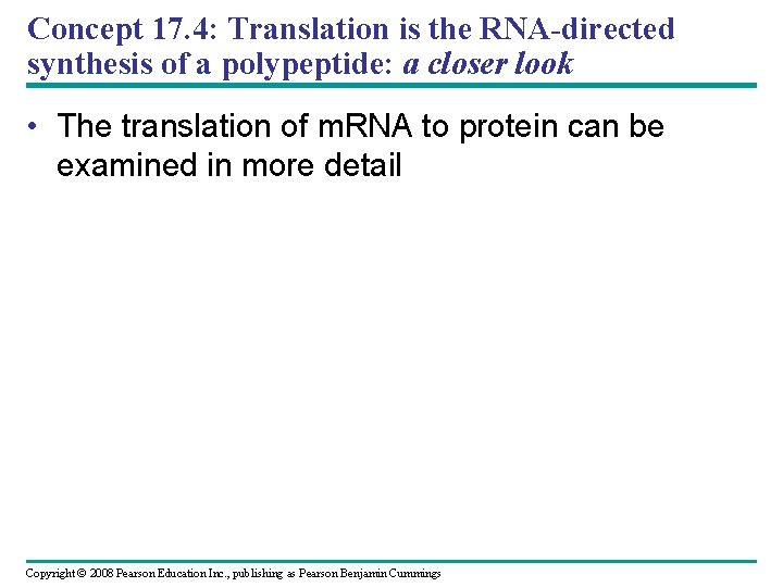 Concept 17. 4: Translation is the RNA-directed synthesis of a polypeptide: a closer look
