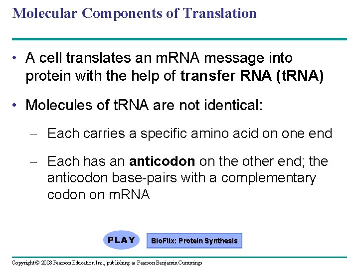 Molecular Components of Translation • A cell translates an m. RNA message into protein