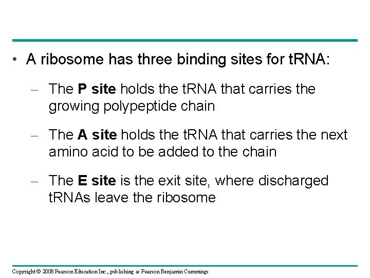  • A ribosome has three binding sites for t. RNA: – The P