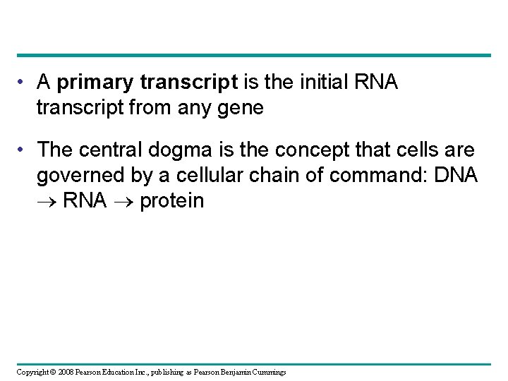  • A primary transcript is the initial RNA transcript from any gene •