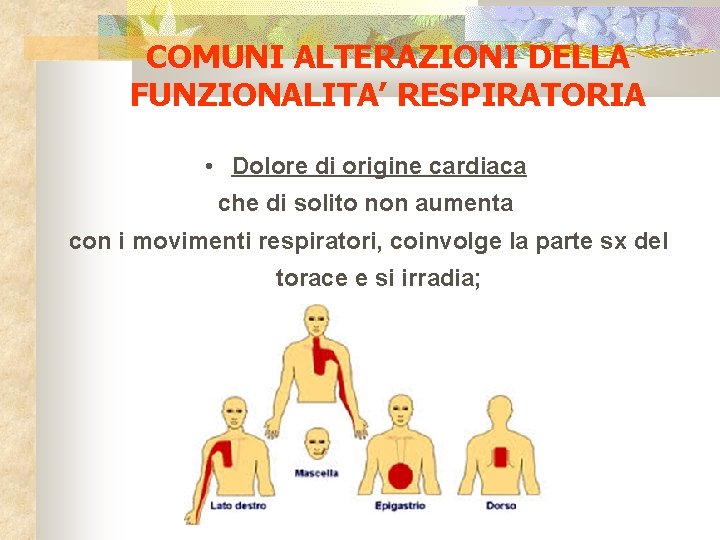 COMUNI ALTERAZIONI DELLA FUNZIONALITA’ RESPIRATORIA • Dolore di origine cardiaca che di solito non