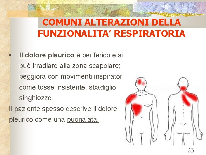 COMUNI ALTERAZIONI DELLA FUNZIONALITA’ RESPIRATORIA • Il dolore pleurico è periferico e si può