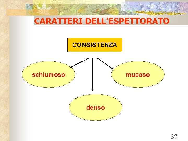 CARATTERI DELL’ESPETTORATO CONSISTENZA schiumoso mucoso denso 37 