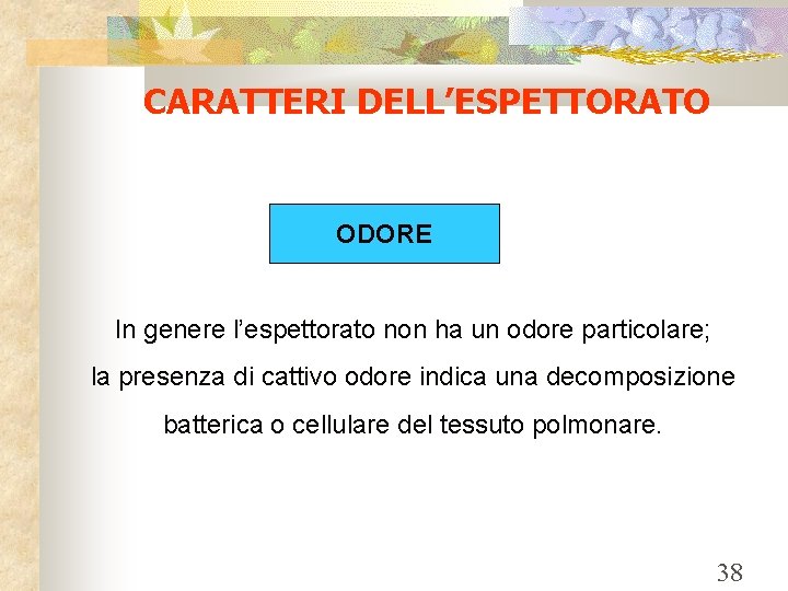 CARATTERI DELL’ESPETTORATO ODORE In genere l’espettorato non ha un odore particolare; la presenza di