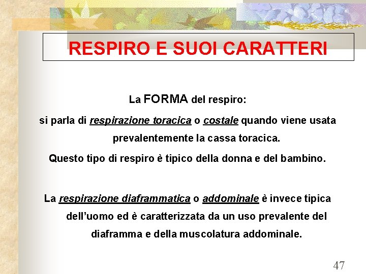 RESPIRO E SUOI CARATTERI La FORMA del respiro: si parla di respirazione toracica o