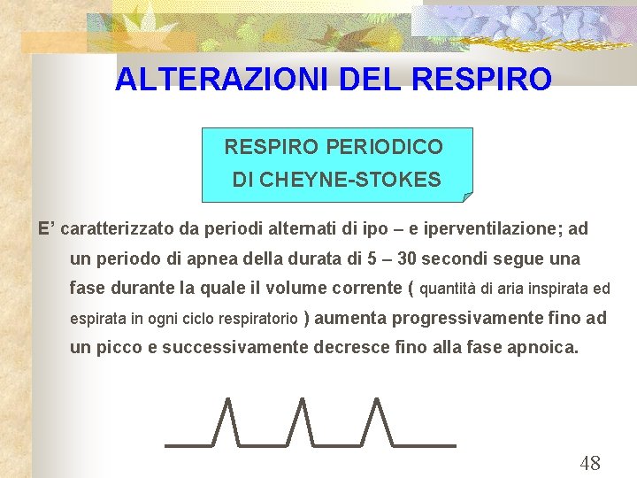 ALTERAZIONI DEL RESPIRO PERIODICO DI CHEYNE-STOKES E’ caratterizzato da periodi alternati di ipo –