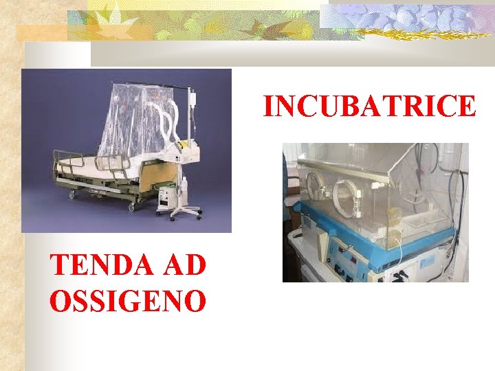 INCUBATRICE TENDA AD OSSIGENO 