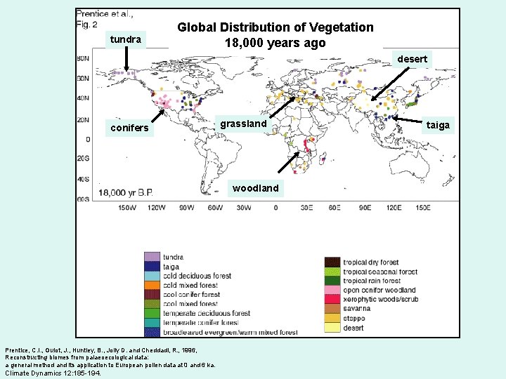 tundra Global Distribution of Vegetation 18, 000 years ago desert conifers grassland woodland Prentice,