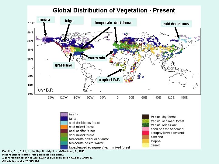 Global Distribution of Vegetation - Present tundra taiga temperate deciduous warm mix grassland tropical