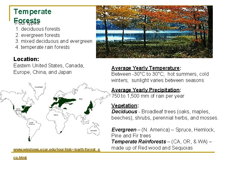 Temperate Forests Four types: 1. deciduous forests 2. evergreen forests 3. mixed deciduous and