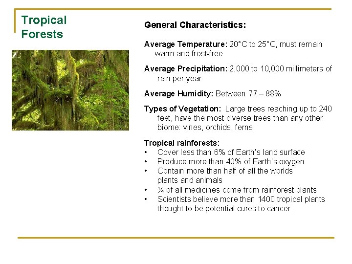 Tropical Forests General Characteristics: Average Temperature: 20°C to 25°C, must remain warm and frost-free