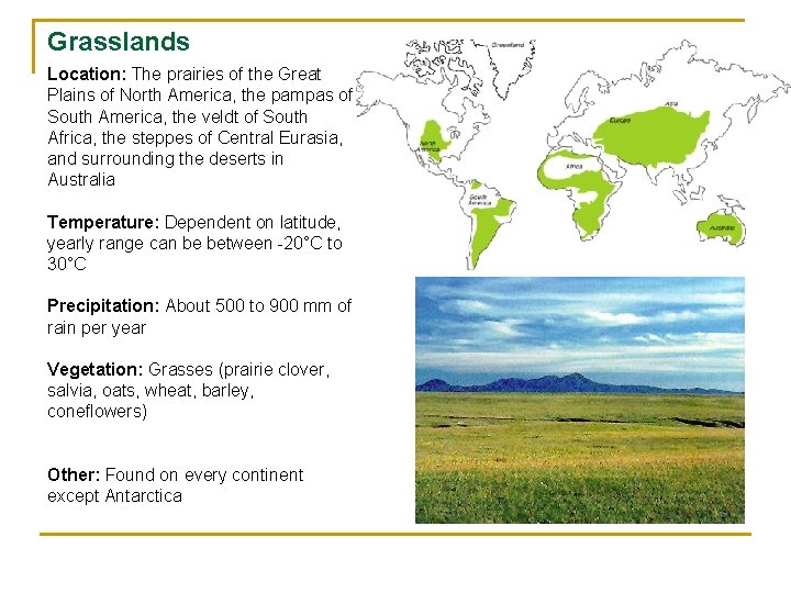 Grasslands Location: The prairies of the Great Plains of North America, the pampas of