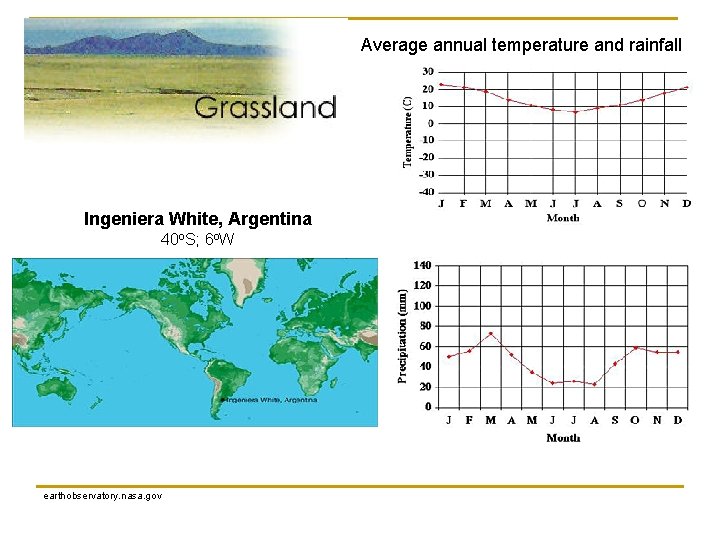 Average annual temperature and rainfall Ingeniera White, Argentina 40 o. S; 6 o. W