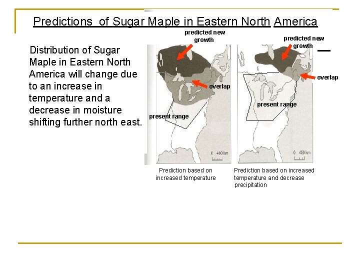 Predictions of Sugar Maple in Eastern North America predicted new growth Distribution of Sugar