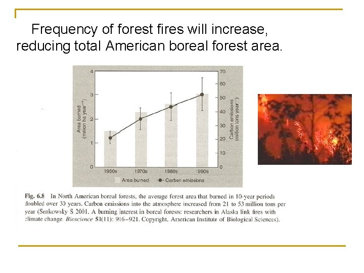 Frequency of forest fires will increase, reducing total American boreal forest area. 