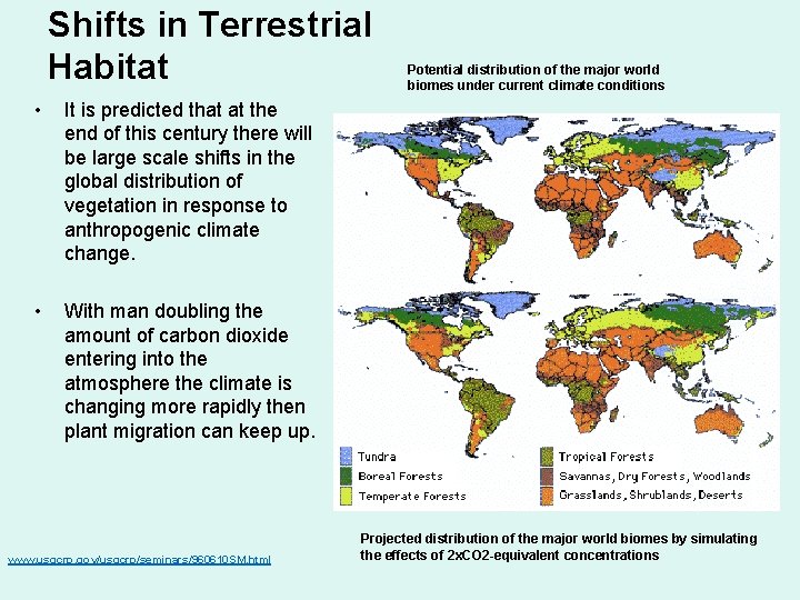 Shifts in Terrestrial Habitat • It is predicted that at the end of this