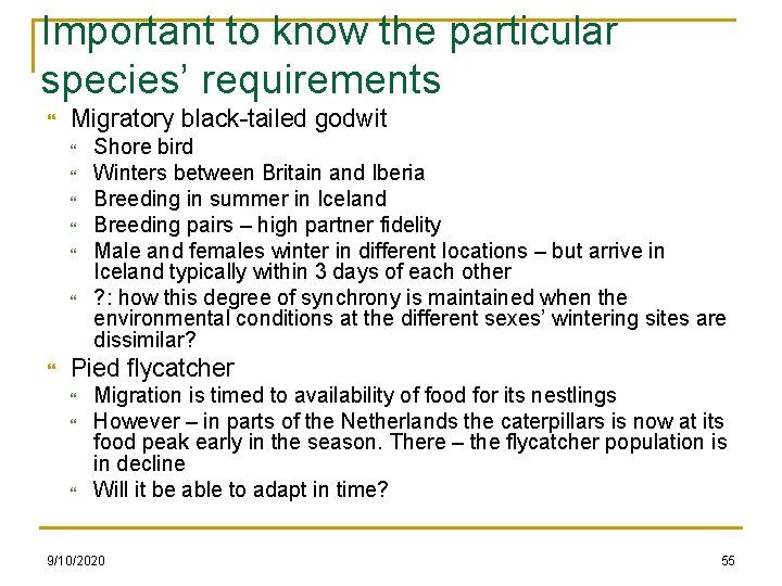 Important to know the particular species’ requirements Migratory black-tailed godwit Shore bird Winters between
