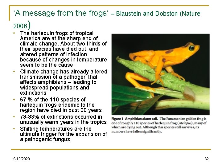 ‘A message from the frogs’ – Blaustein and Dobston (Nature 2006 ) The harlequin