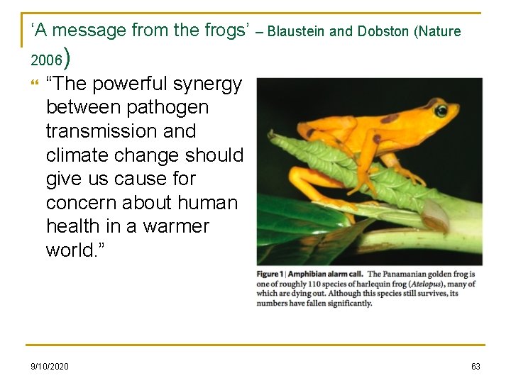 ‘A message from the frogs’ – Blaustein and Dobston (Nature 2006 ) “The powerful