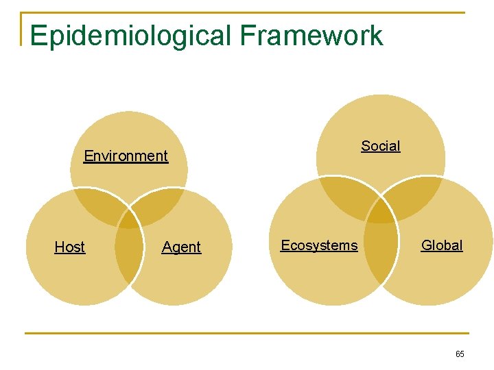 Epidemiological Framework Social Environment Host Agent Ecosystems Global 65 