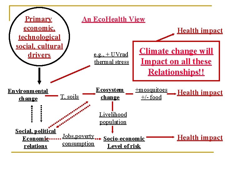 Primary economic, technological social, cultural drivers Environmental change An Eco. Health View Health impact