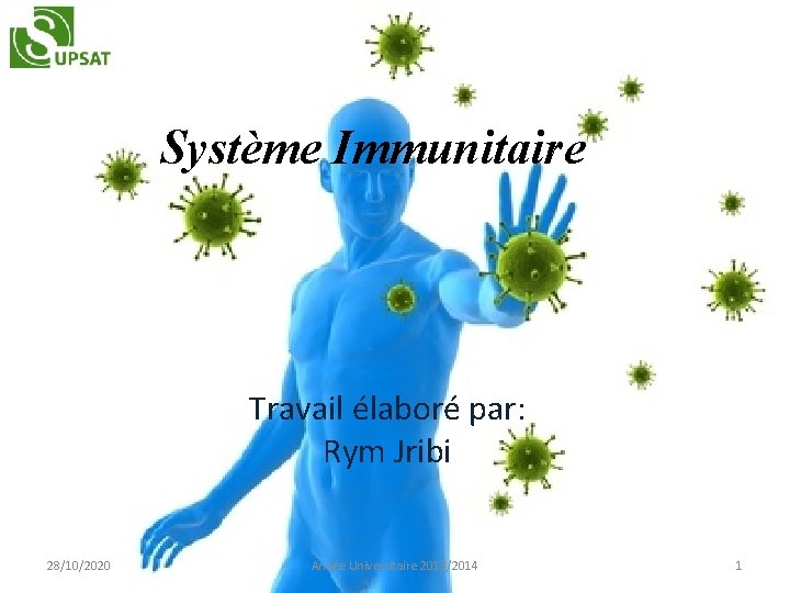 Système Immunitaire Travail élaboré par: Rym Jribi 28/10/2020 Année Universitaire 2013/2014 1 