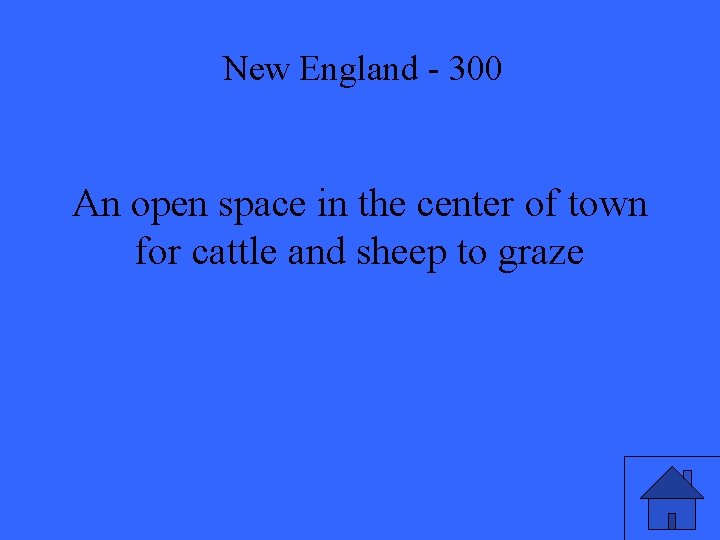 New England - 300 An open space in the center of town for cattle