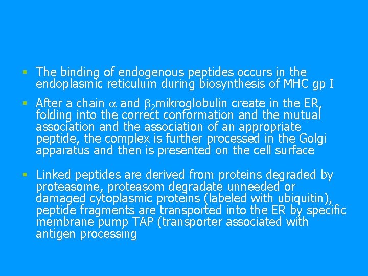 § The binding of endogenous peptides occurs in the endoplasmic reticulum during biosynthesis of