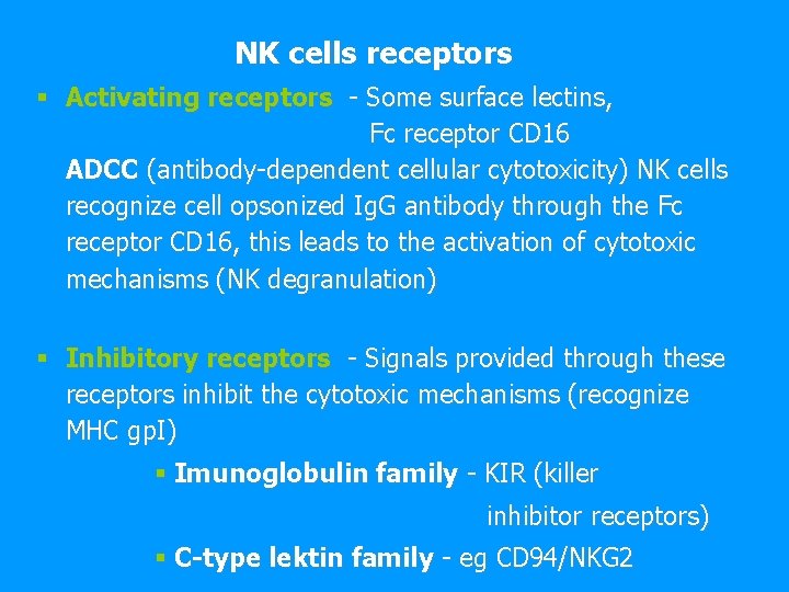 NK cells receptors § Activating receptors - Some surface lectins, Fc receptor CD 16