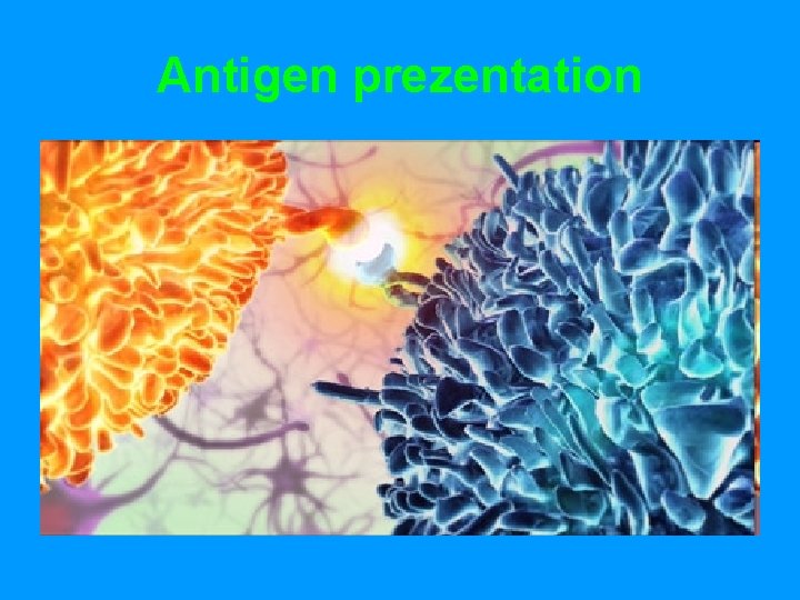 Antigen prezentation 