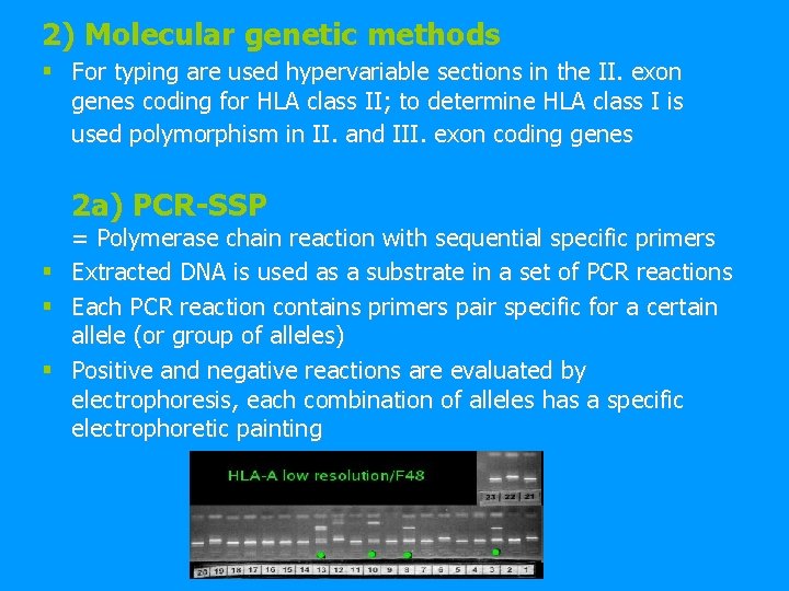 2) Molecular genetic methods § For typing are used hypervariable sections in the II.