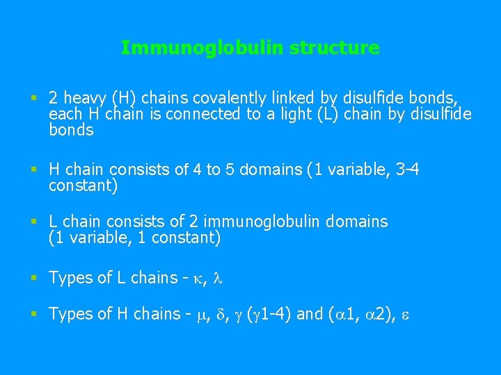 Immunoglobulin structure § 2 heavy (H) chains covalently linked by disulfide bonds, each H