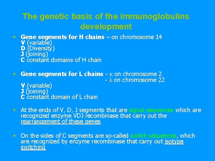 The genetic basis of the immunoglobulins development § Gene segments for H chains –