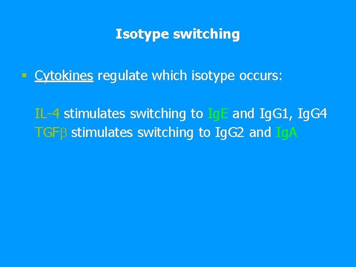 Isotype switching § Cytokines regulate which isotype occurs: IL-4 stimulates switching to Ig. E