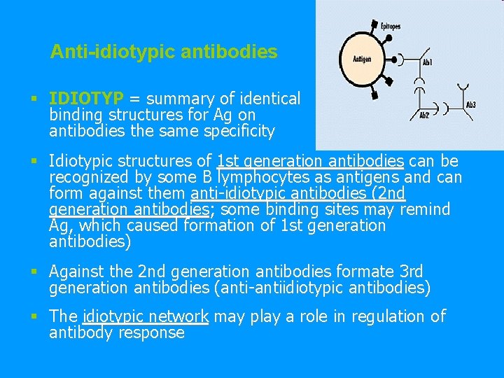 Anti-idiotypic antibodies § IDIOTYP = summary of identical binding structures for Ag on antibodies