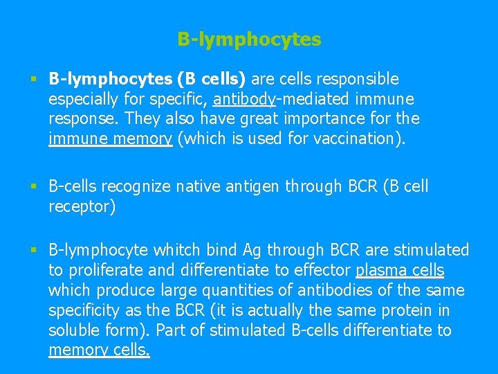 B-lymphocytes § B-lymphocytes (B cells) are cells responsible especially for specific, antibody-mediated immune response.