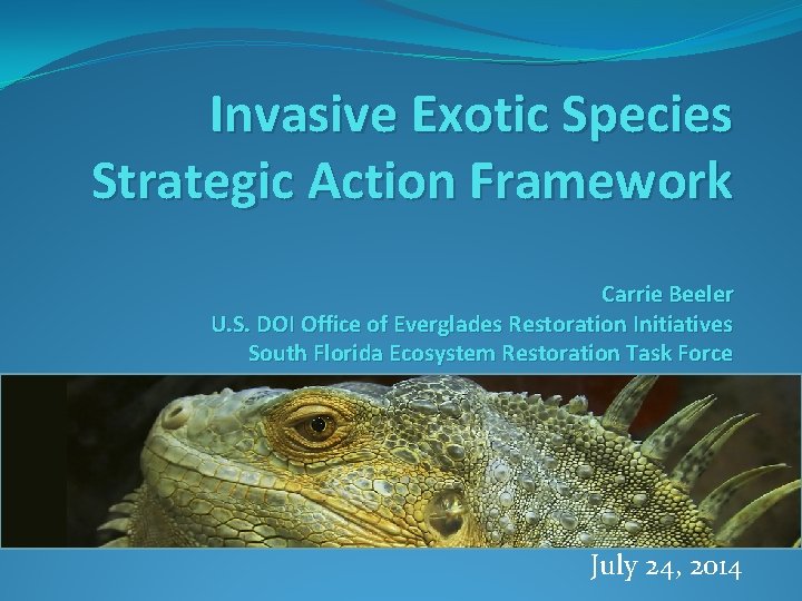 Invasive Exotic Species Strategic Action Framework Carrie Beeler U. S. DOI Office of Everglades