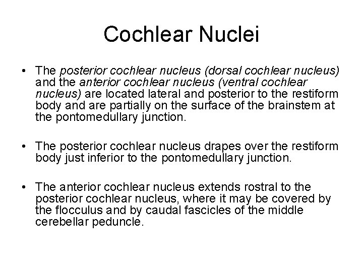 Cochlear Nuclei • The posterior cochlear nucleus (dorsal cochlear nucleus) and the anterior cochlear Cochlear Nuclei • The posterior cochlear nucleus (dorsal cochlear nucleus) and the anterior cochlear