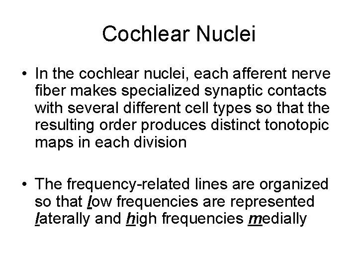 Cochlear Nuclei • In the cochlear nuclei, each afferent nerve fiber makes specialized synaptic Cochlear Nuclei • In the cochlear nuclei, each afferent nerve fiber makes specialized synaptic